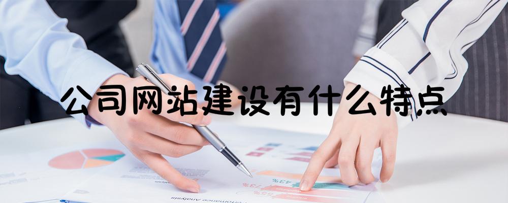 公司網(wǎng)站建設有什么特點