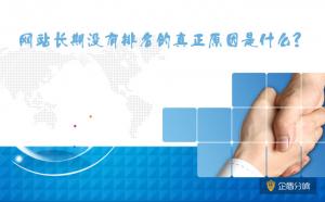 北京網(wǎng)站優(yōu)化：網(wǎng)站長期沒有排名的真正原因是什么？